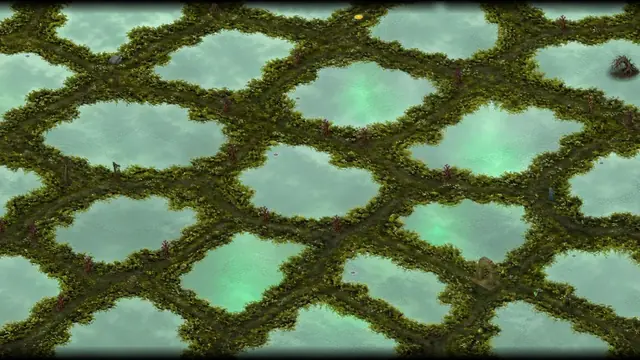 Mire Marshes